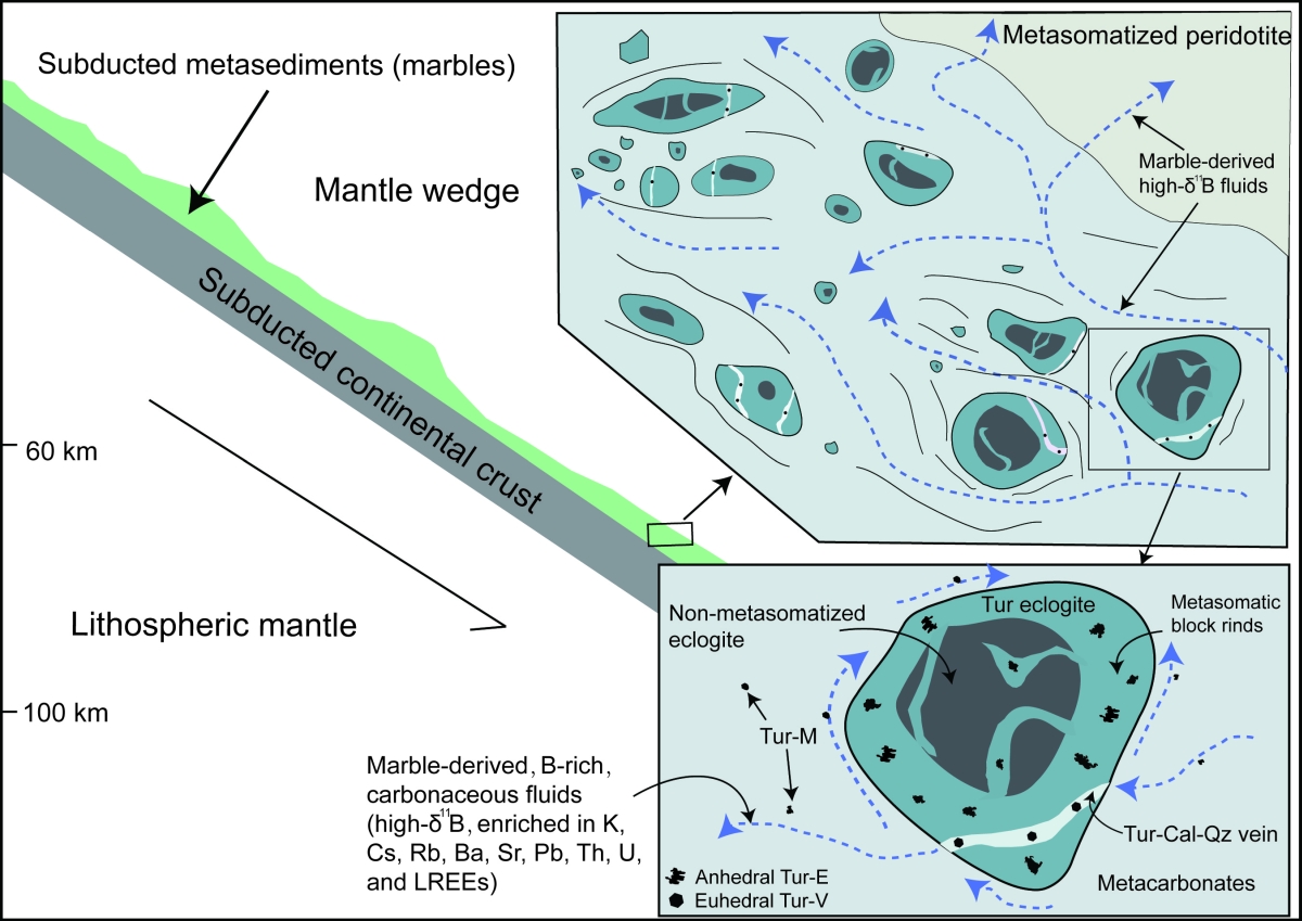 Fig.3.jpg