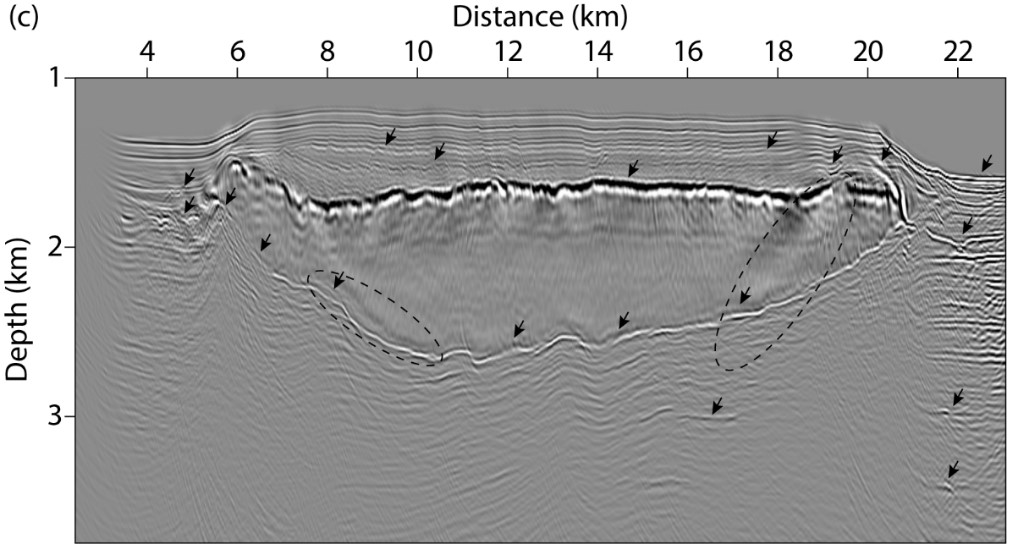 Fig.1-c.jpg