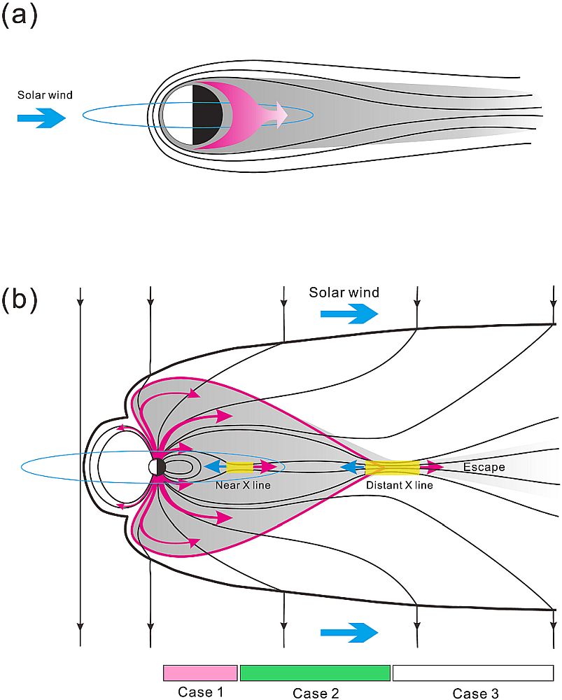 Fig.1s.jpg